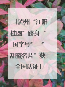 泸州“江阳桂圆”跻身“国字号” “甜蜜名片”获全国认证