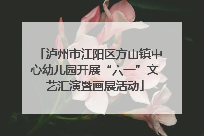 泸州市江阳区方山镇中心幼儿园开展“六一”文艺汇演暨画展活动