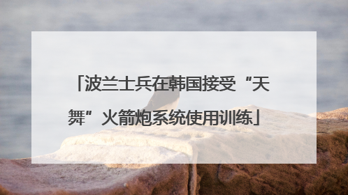 波兰士兵在韩国接受“天舞”火箭炮系统使用训练
