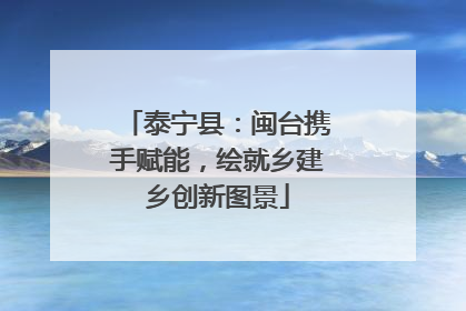 泰宁县：闽台携手赋能，绘就乡建乡创新图景