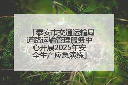 泰安市交通运输局道路运输管理服务中心开展2025年安全生产应急演练