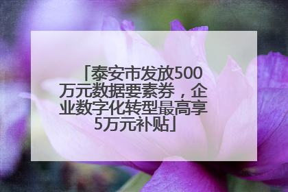 泰安市发放500万元数据要素券，企业数字化转型最高享5万元补贴