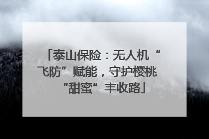 泰山保险：无人机“飞防”赋能，守护樱桃“甜蜜”丰收路