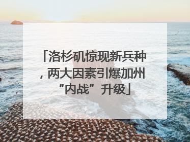 洛杉矶惊现新兵种，两大因素引爆加州“内战”升级