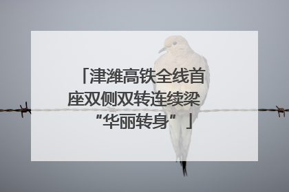 津潍高铁全线首座双侧双转连续梁“华丽转身”