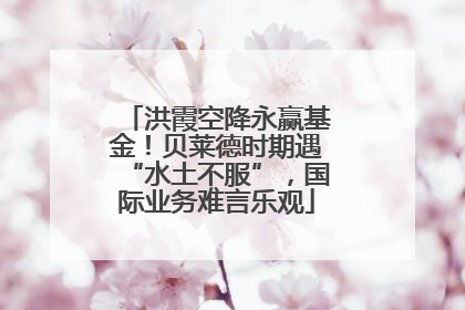 洪霞空降永赢基金！贝莱德时期遇“水土不服”，国际业务难言乐观