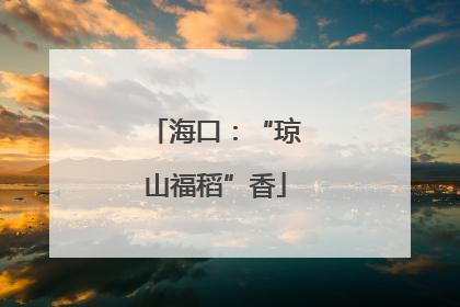 海口：“琼山福稻”香