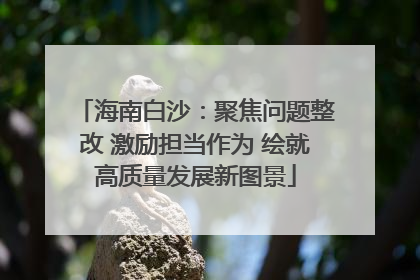 海南白沙：聚焦问题整改 激励担当作为 绘就高质量发展新图景