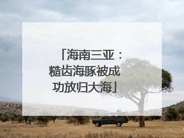 海南三亚：糙齿海豚被成功放归大海