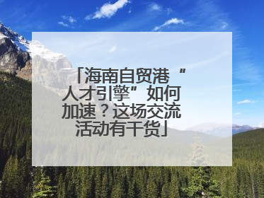 海南自贸港“人才引擎”如何加速？这场交流活动有干货
