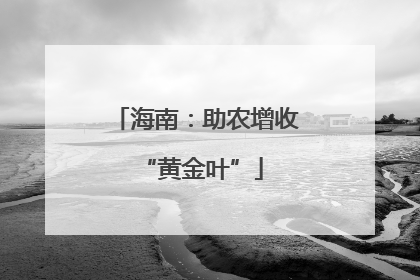 海南：助农增收 “黄金叶”