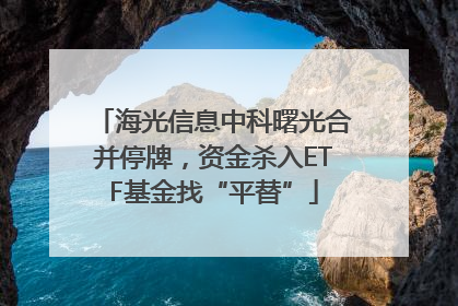 海光信息中科曙光合并停牌，资金杀入ETF基金找“平替”