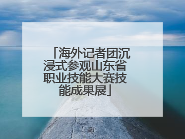 海外记者团沉浸式参观山东省职业技能大赛技能成果展