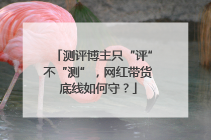 测评博主只“评”不“测”，网红带货底线如何守？