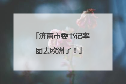 济南市委书记率团去欧洲了！