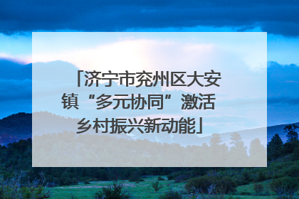 济宁市兖州区大安镇“多元协同”激活乡村振兴新动能