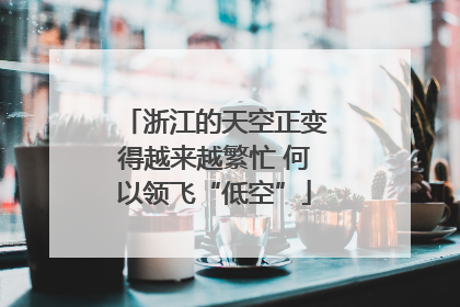 浙江的天空正变得越来越繁忙 何以领飞“低空”