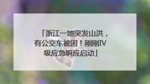 浙江一地突发山洪，有公交车被困！刚刚Ⅳ级应急响应启动