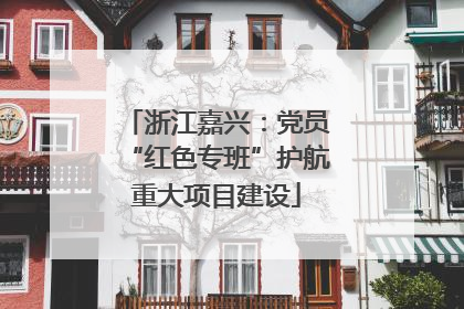 浙江嘉兴：党员“红色专班”护航重大项目建设