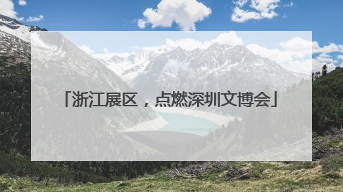 浙江展区，点燃深圳文博会