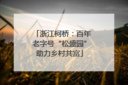 浙江柯桥：百年老字号“松盛园”助力乡村共富