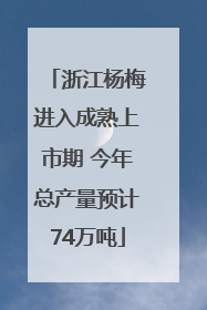 浙江杨梅进入成熟上市期 今年总产量预计74万吨