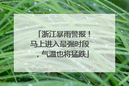 浙江暴雨警报！马上进入最强时段，气温也将猛跌
