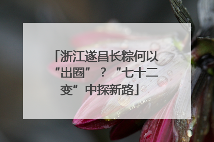 浙江遂昌长粽何以“出圈”？“七十二变”中探新路