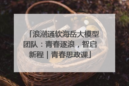 浪潮通软海岳大模型团队：青春逐浪，智启新程｜青春思政课
