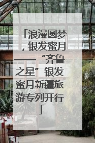 浪漫圆梦，银发蜜月——“齐鲁之星”银发蜜月新疆旅游专列开行