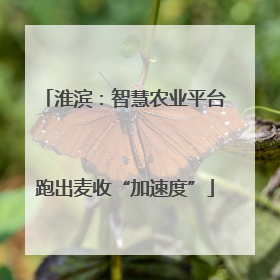 淮滨：智慧农业平台跑出麦收“加速度”