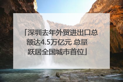 深圳去年外贸进出口总额达4.5万亿元 总量跃居全国城市首位