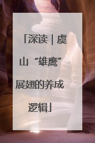 深读｜虞山“雄鹰”展翅的养成逻辑