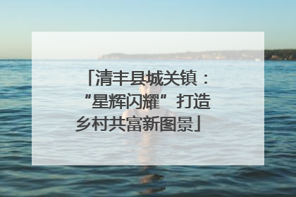 清丰县城关镇：“星辉闪耀”打造乡村共富新图景