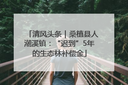 清风头条｜桑植县人潮溪镇：“迟到”5年的生态林补偿金