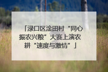 渌口区淦田村“同心振农兴粮”大赛上演农耕“速度与激情”