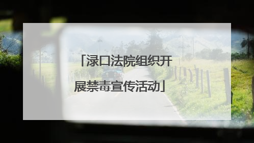 渌口法院组织开展禁毒宣传活动