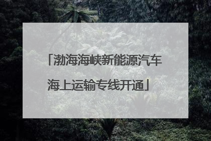 渤海海峡新能源汽车海上运输专线开通