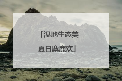 湿地生态美 夏日麋鹿欢