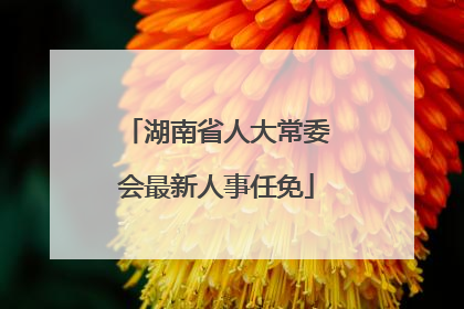 湖南省人大常委会最新人事任免