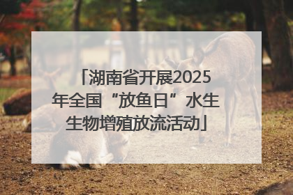 湖南省开展2025年全国“放鱼日”水生生物增殖放流活动