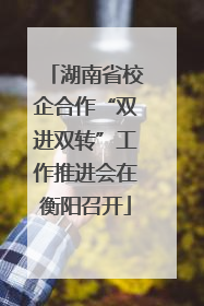 湖南省校企合作“双进双转”工作推进会在衡阳召开
