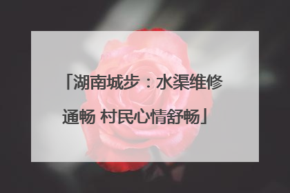 湖南城步：水渠维修通畅 村民心情舒畅