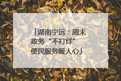 湖南宁远：周末政务“不打烊” 便民服务暖人心