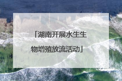 湖南开展水生生物增殖放流活动