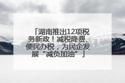 湖南推出12项税务新政！减税降费、便民办税，为民企发展“减负加油”
