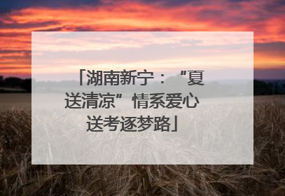湖南新宁：“夏送清凉”情系爱心送考逐梦路