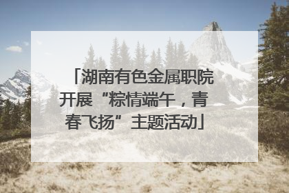 湖南有色金属职院开展“粽情端午，青春飞扬”主题活动