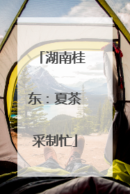 湖南桂东：夏茶采制忙