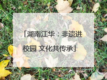 湖南江华：非遗进校园 文化共传承